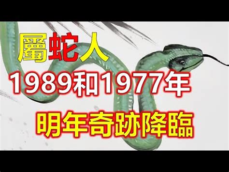 1989 屬蛇|1989年屬蛇人：一生的性格及命運